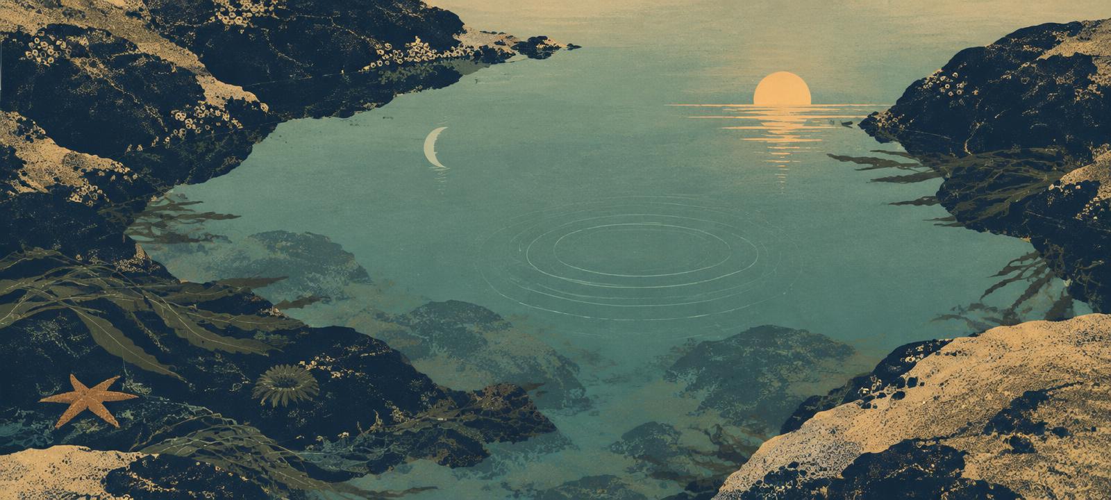 A still tidepool holding a crescent moon and a setting sun